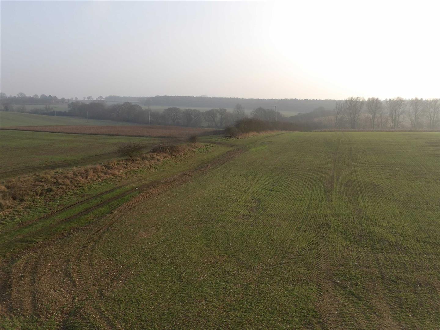 Image 17