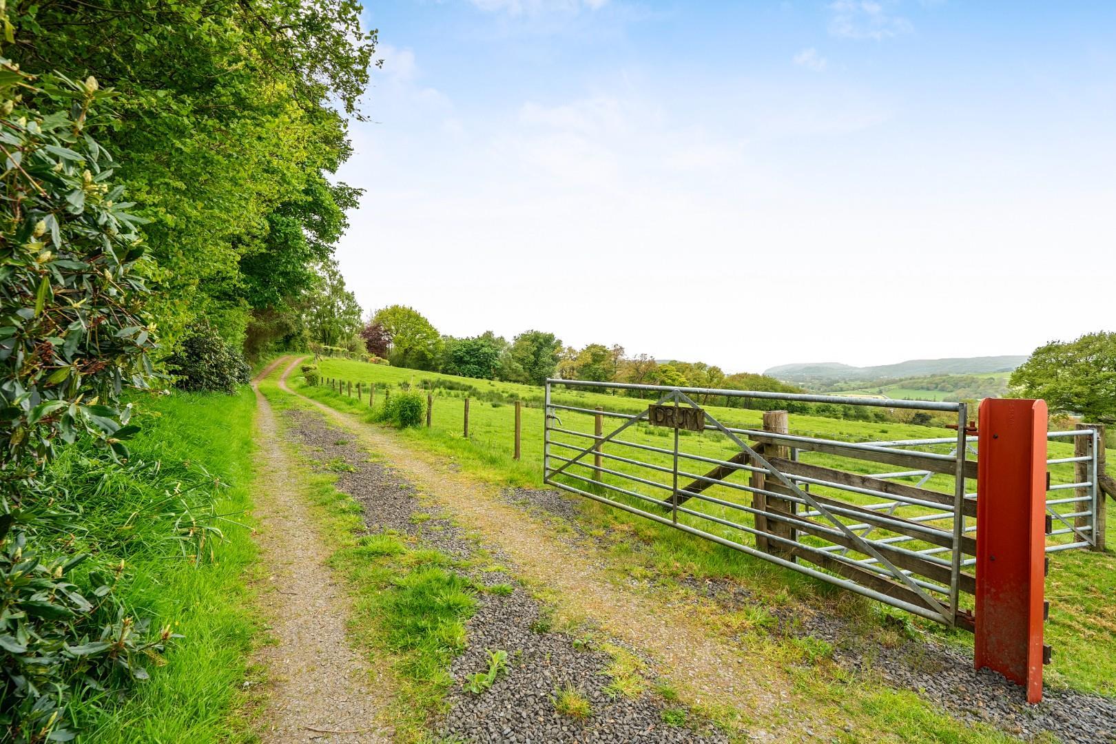 Property Image e15f6525-09a3-4793-8e36-496f3c82e57e