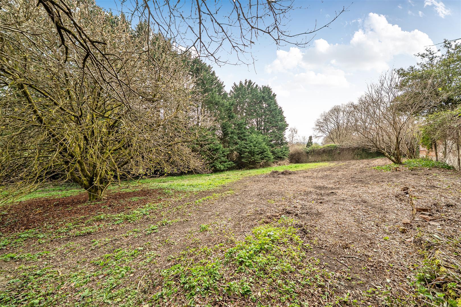 Property Image e1896f1d-a1c0-428c-bf69-af2fd5e9b51d