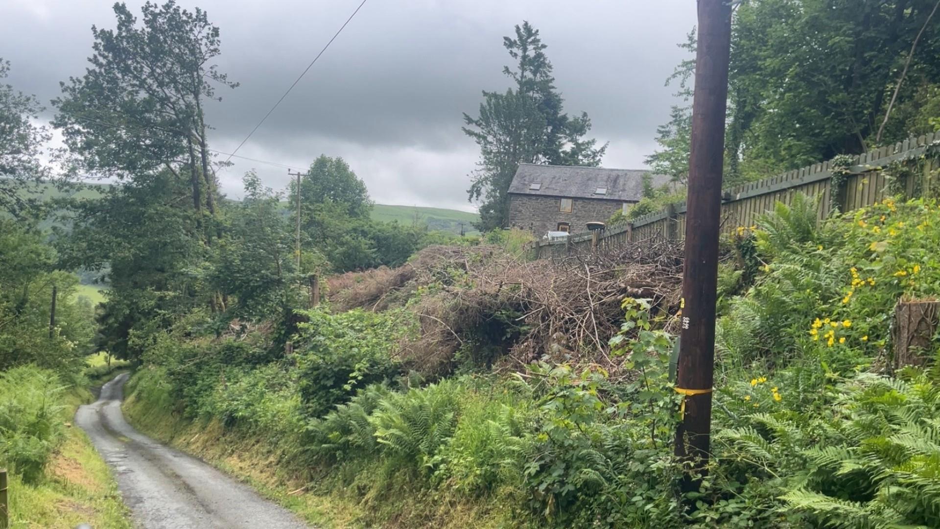 Image 15