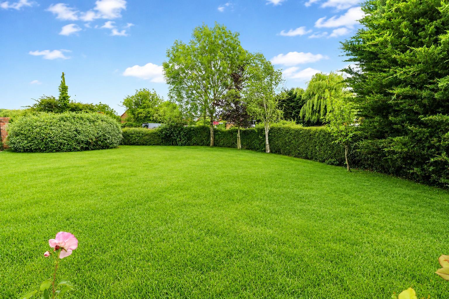 Property Image e1983f75-015a-43b8-8067-a41db97365cd