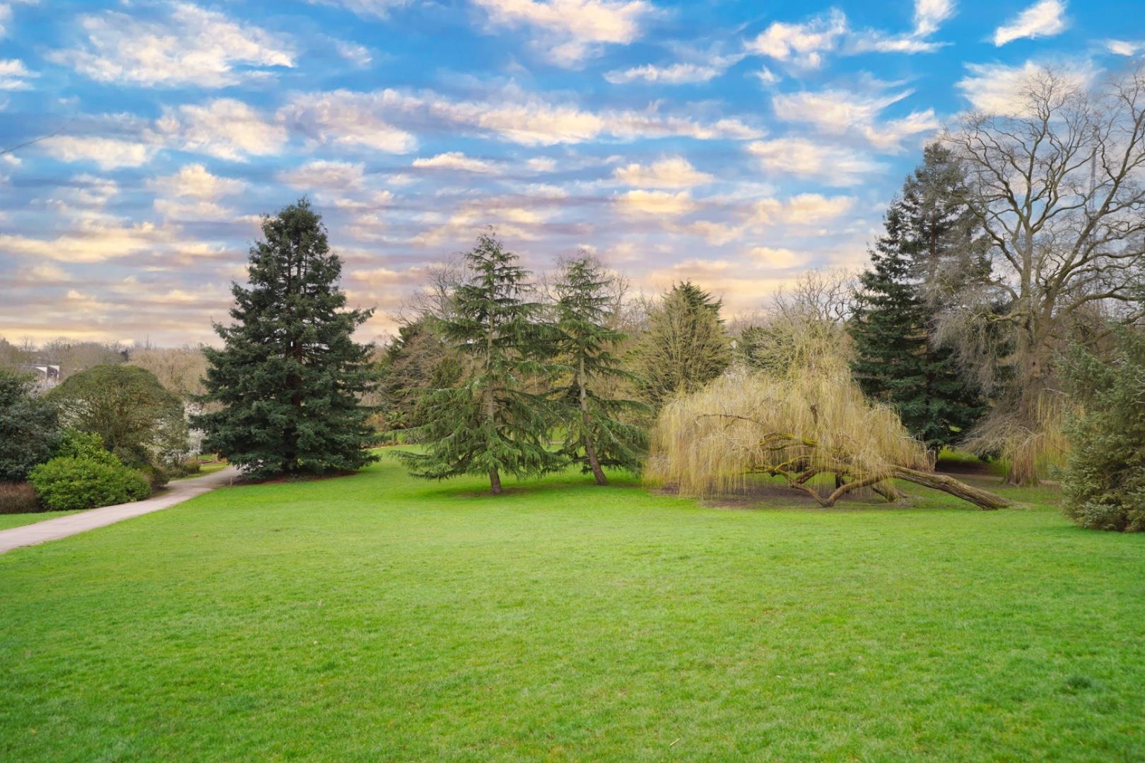 Property Image e19b5a95-1428-4fbf-8a61-62f8aa988dd1