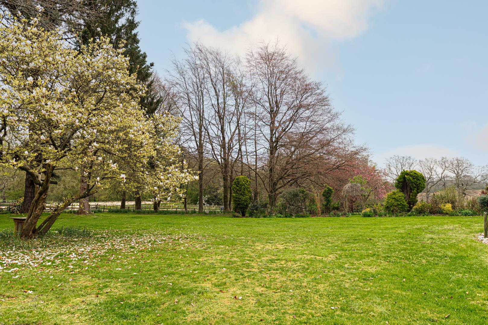 Property Image e1cb9de1-4dcf-4f06-9ece-4d577cf73cf7