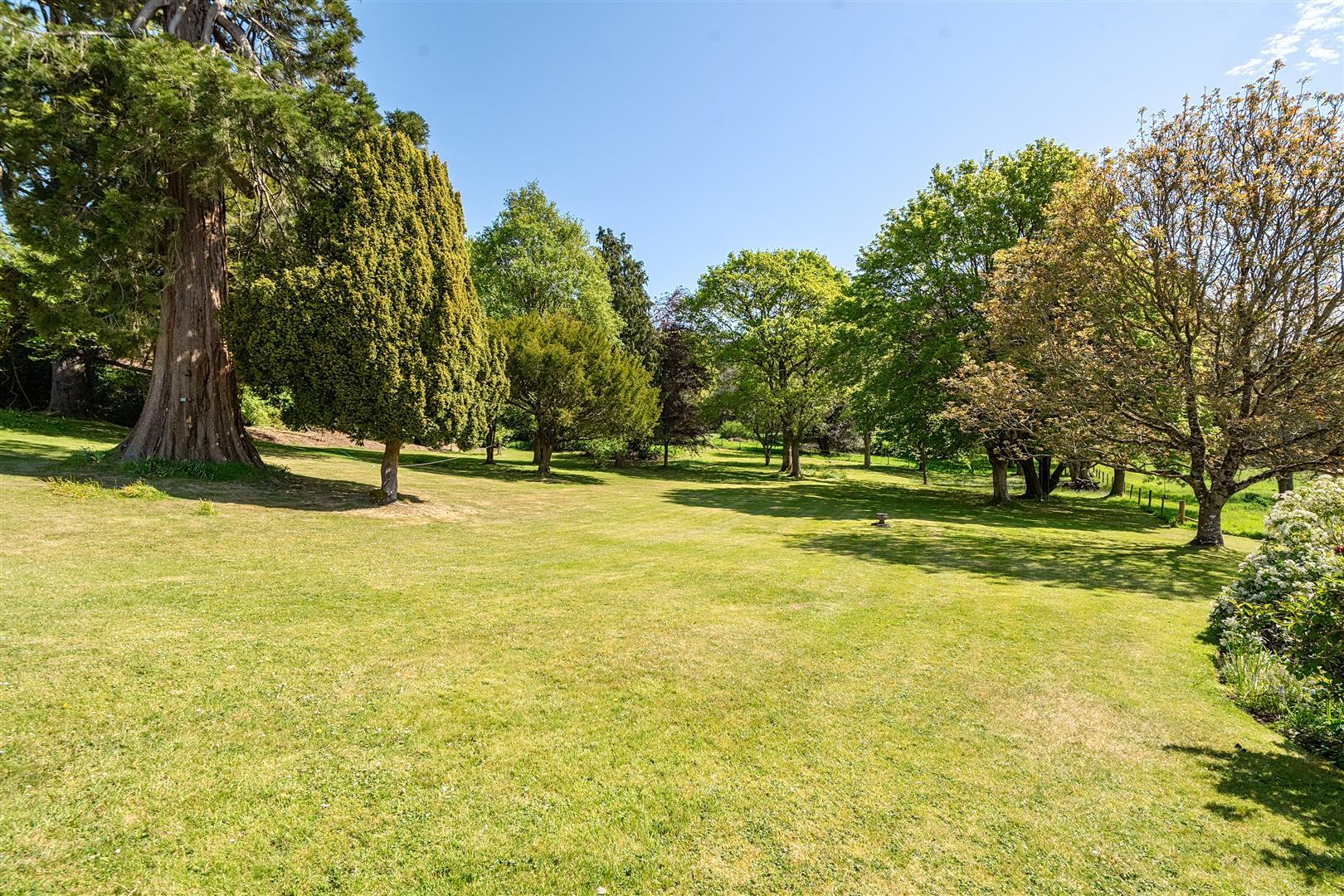 Property Image e1d2a7b6-3e09-40b9-a408-f9cfe4565940