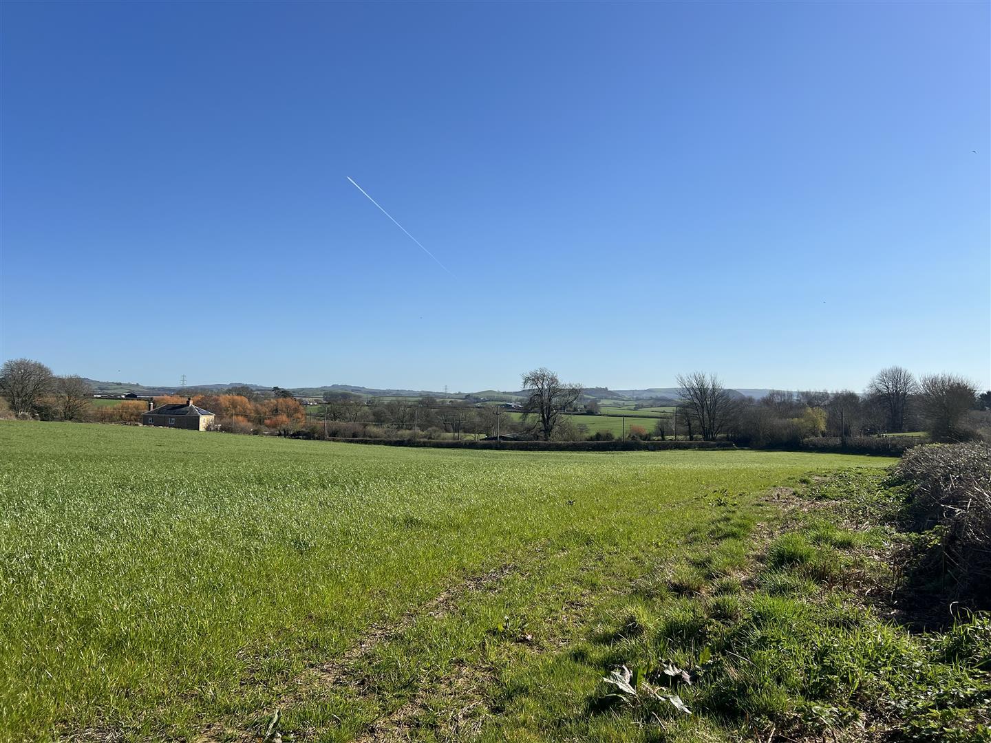 Property Image e1f56d00-755f-4630-b02f-386eae761513