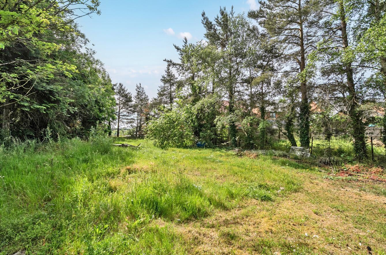 Property Image e204e9ad-1b8d-491d-a28b-248d6df8808c