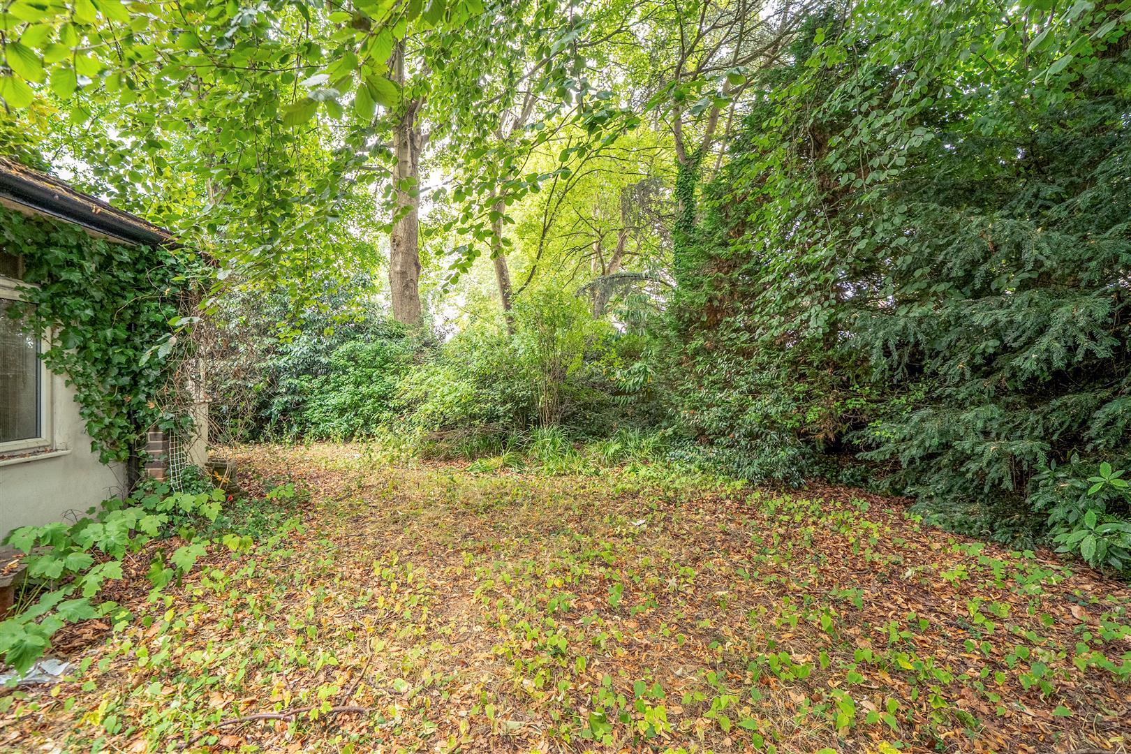 Property Image e243241d-f268-41d9-a494-23cef49eb8d3