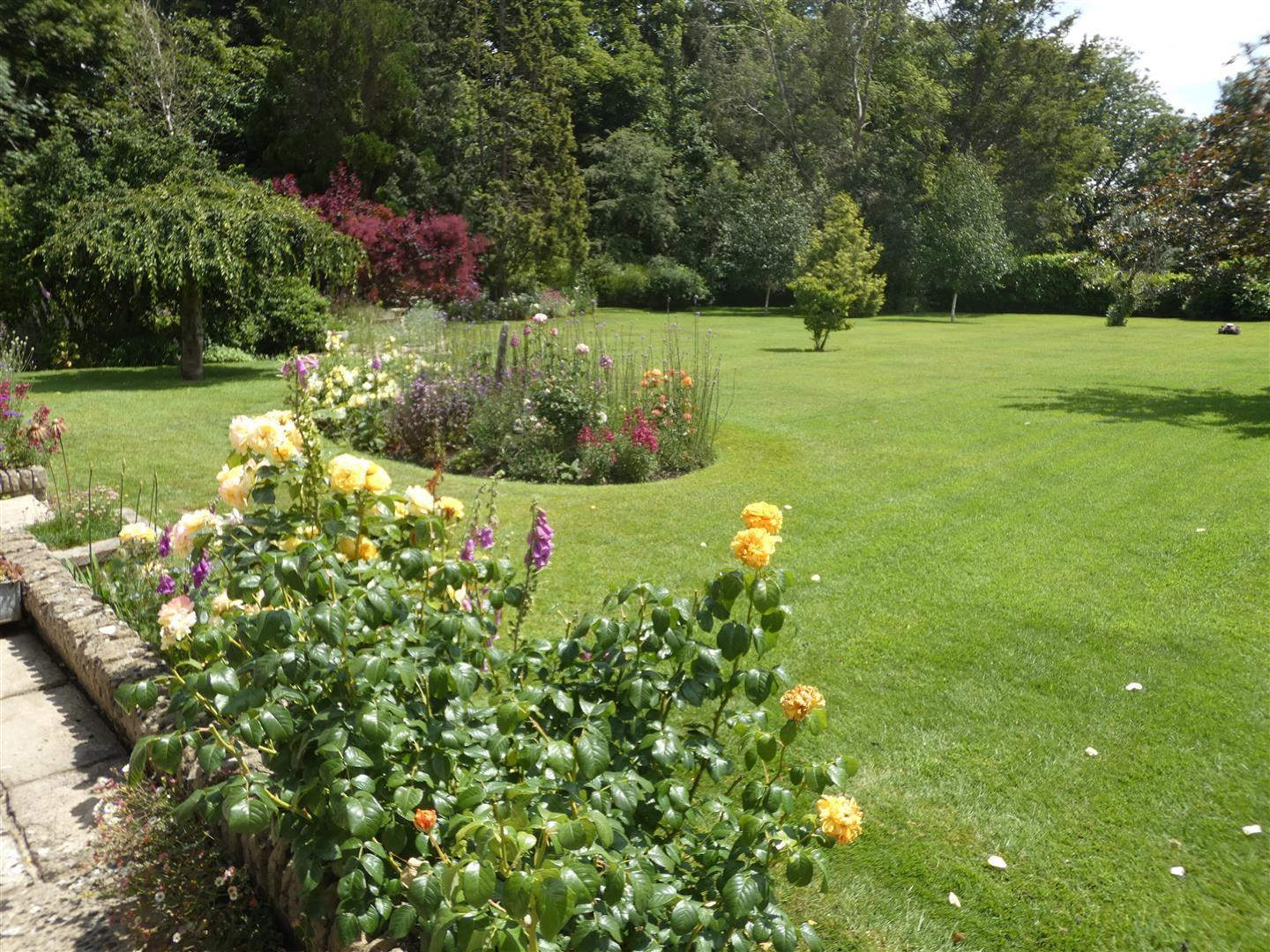 Property Image e25f99f1-036f-491a-869d-e5748fd56c3a