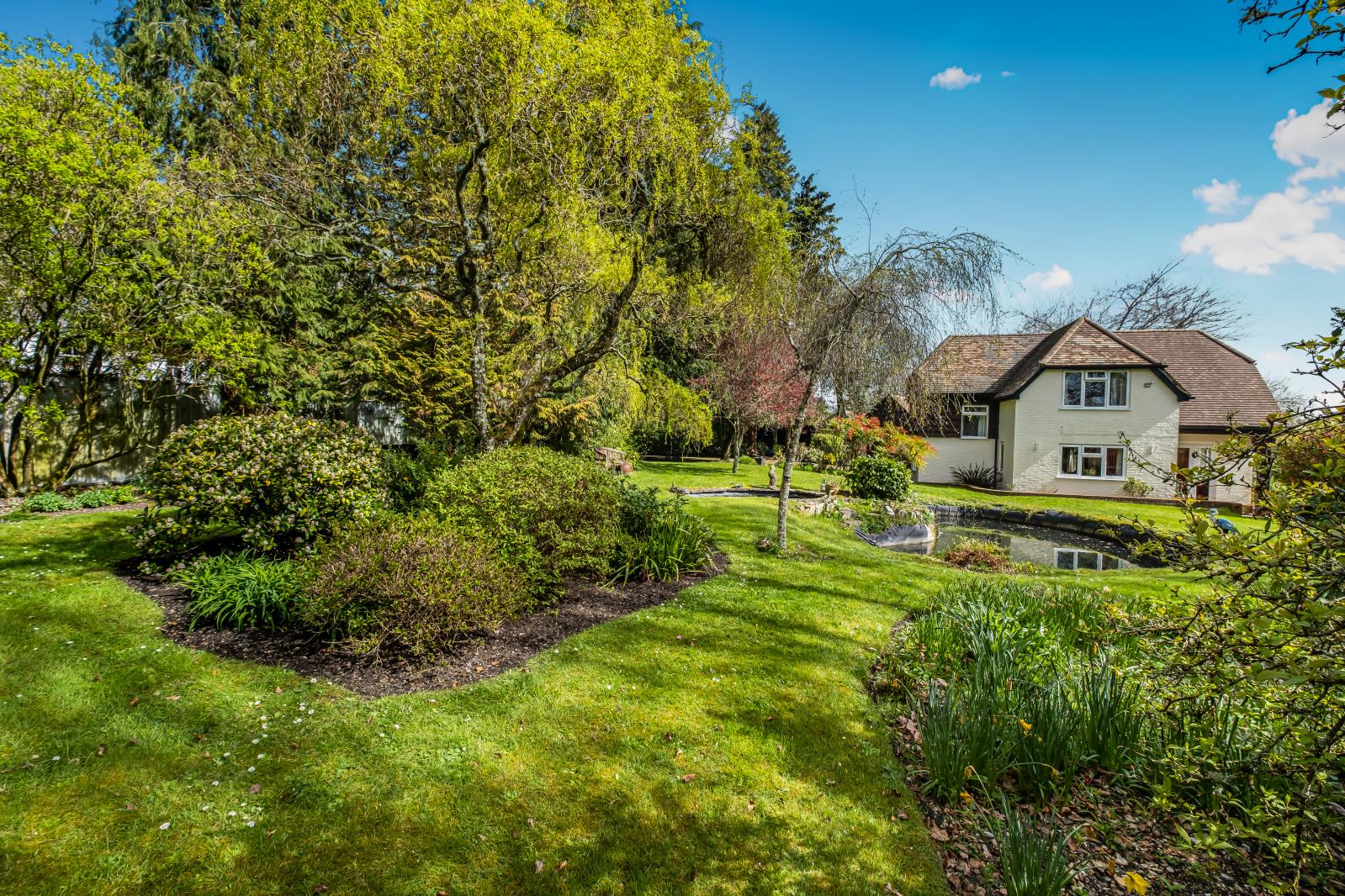 Property Image e2609bf8-b584-445d-8f13-a4b6ee666c0b