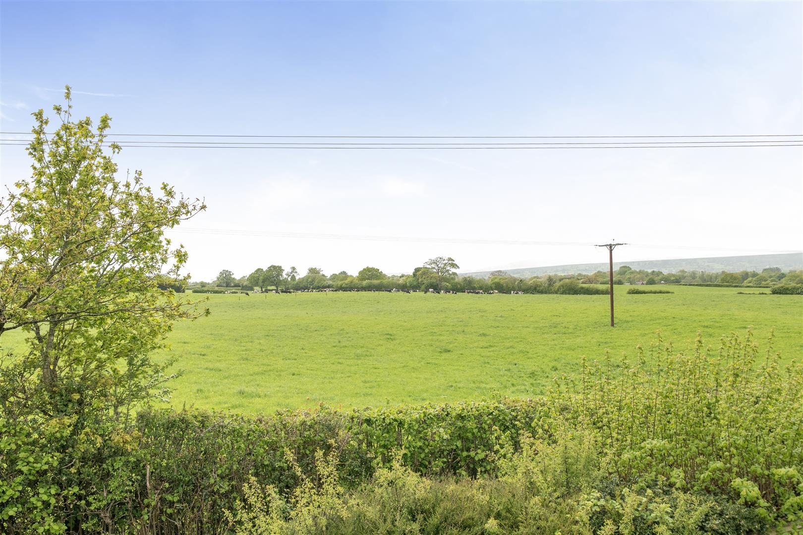 Property Image e2667887-6d8a-4aec-a9b7-3b757fef3339