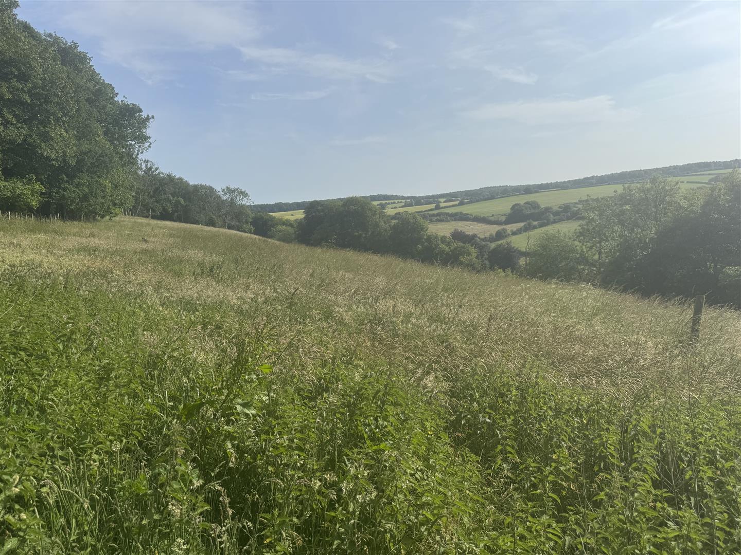 Property Image e287721c-41bd-47d5-b4ab-95f38ca7fc2b