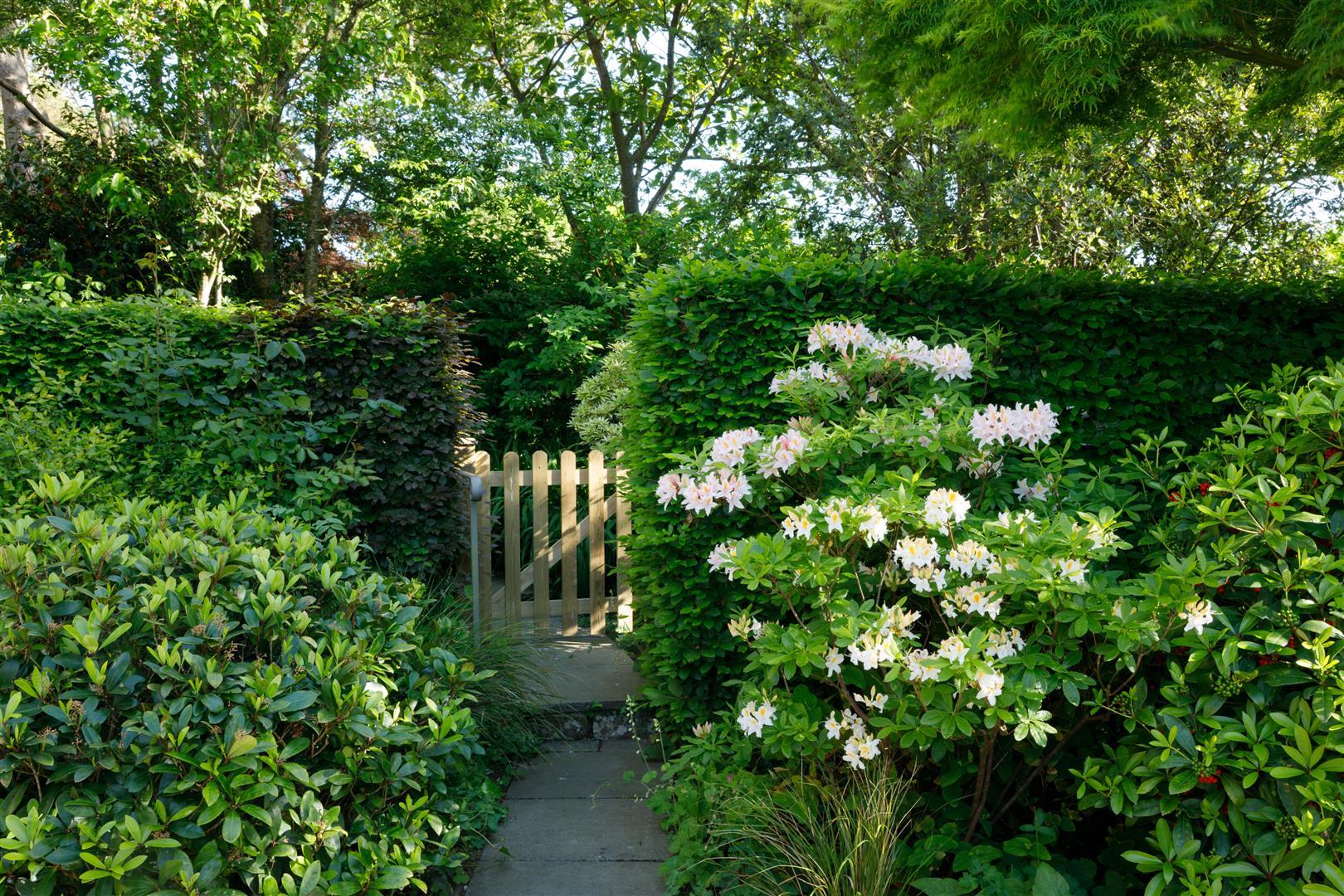 Property Image e2a80b5d-ca0c-423d-857e-8a2b5e3211fc