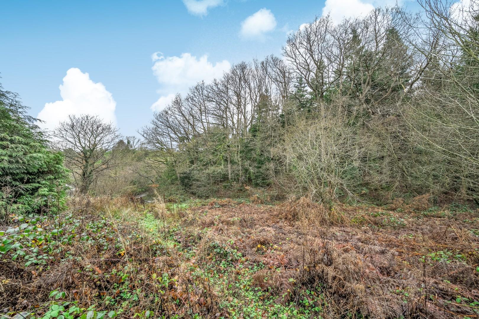 Property Image e2c1db63-f5d1-48c4-b1f7-ef24f223b5a3