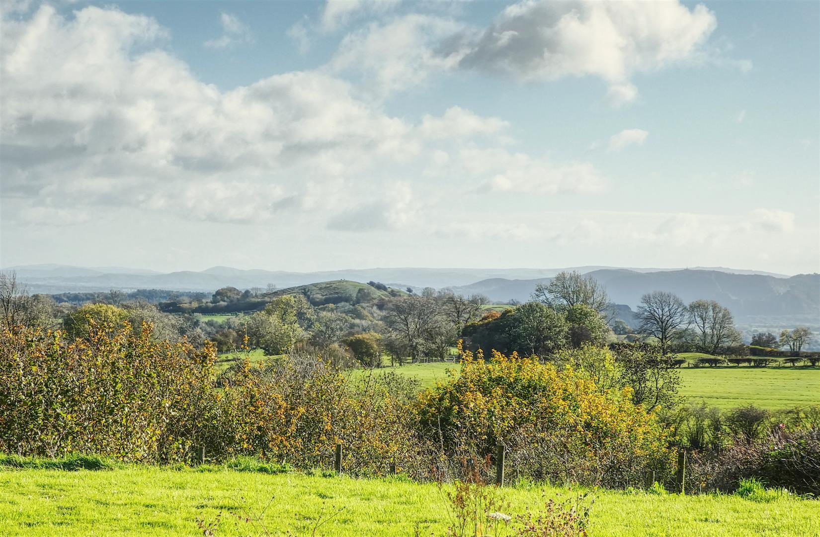 Property Image e2caf1e0-a5e2-421e-908e-fbdd4cf3f531