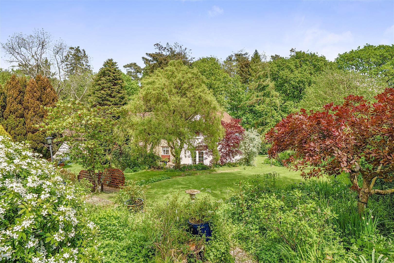 Property Image e2fbd0fd-4d99-4f35-b499-f49130cf9f94