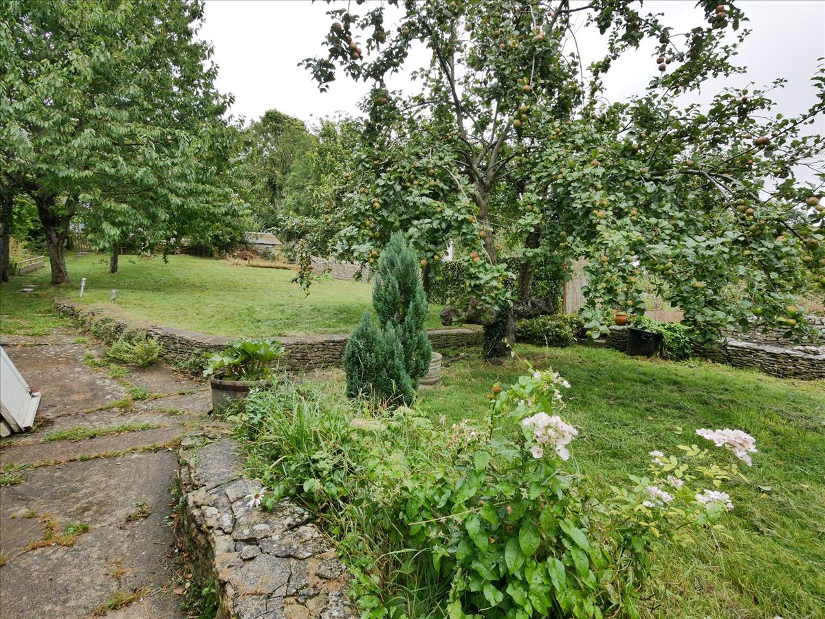Property Image e315a0c6-73a1-4ac6-9d7b-98b8521e8c0b