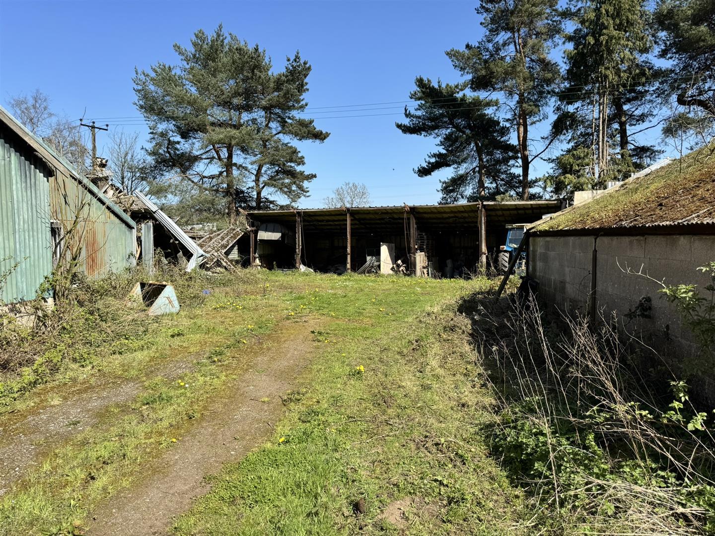 Image 6