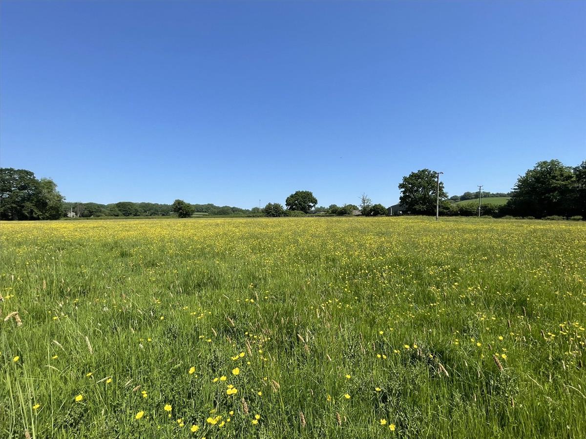 Property Image e32430dc-43f6-4102-9b53-b695bf63d359