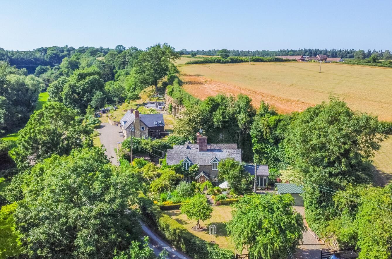 Property Image e35ced04-882b-4ac6-9c7b-5b21a0e7074d