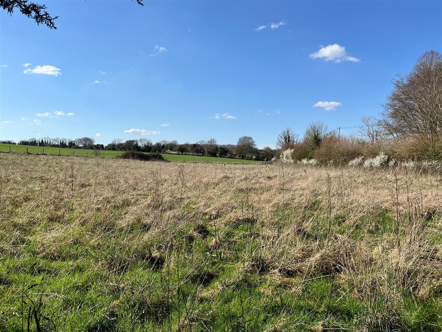 Property Image e366f44d-9da9-4950-9a20-f87c91c3b697