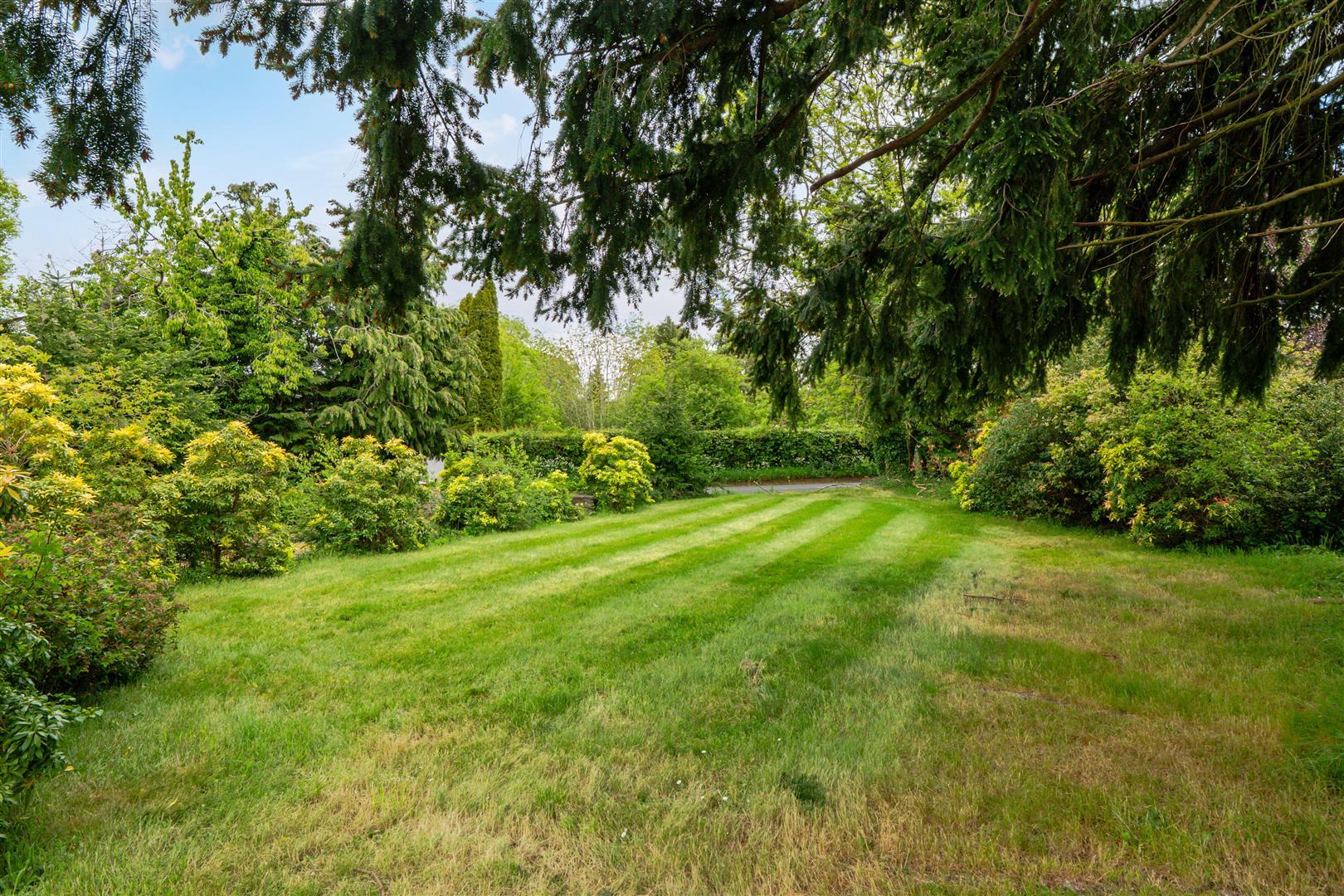 Property Image e387597d-f8f9-40c5-87e5-7516aa23310a