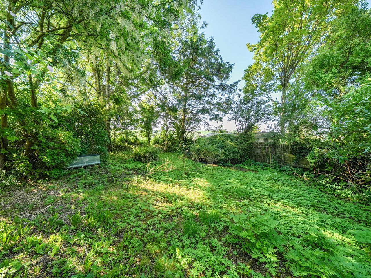 Property Image e3ac9e04-fb5b-4cf0-a8e9-68b8a19629b8