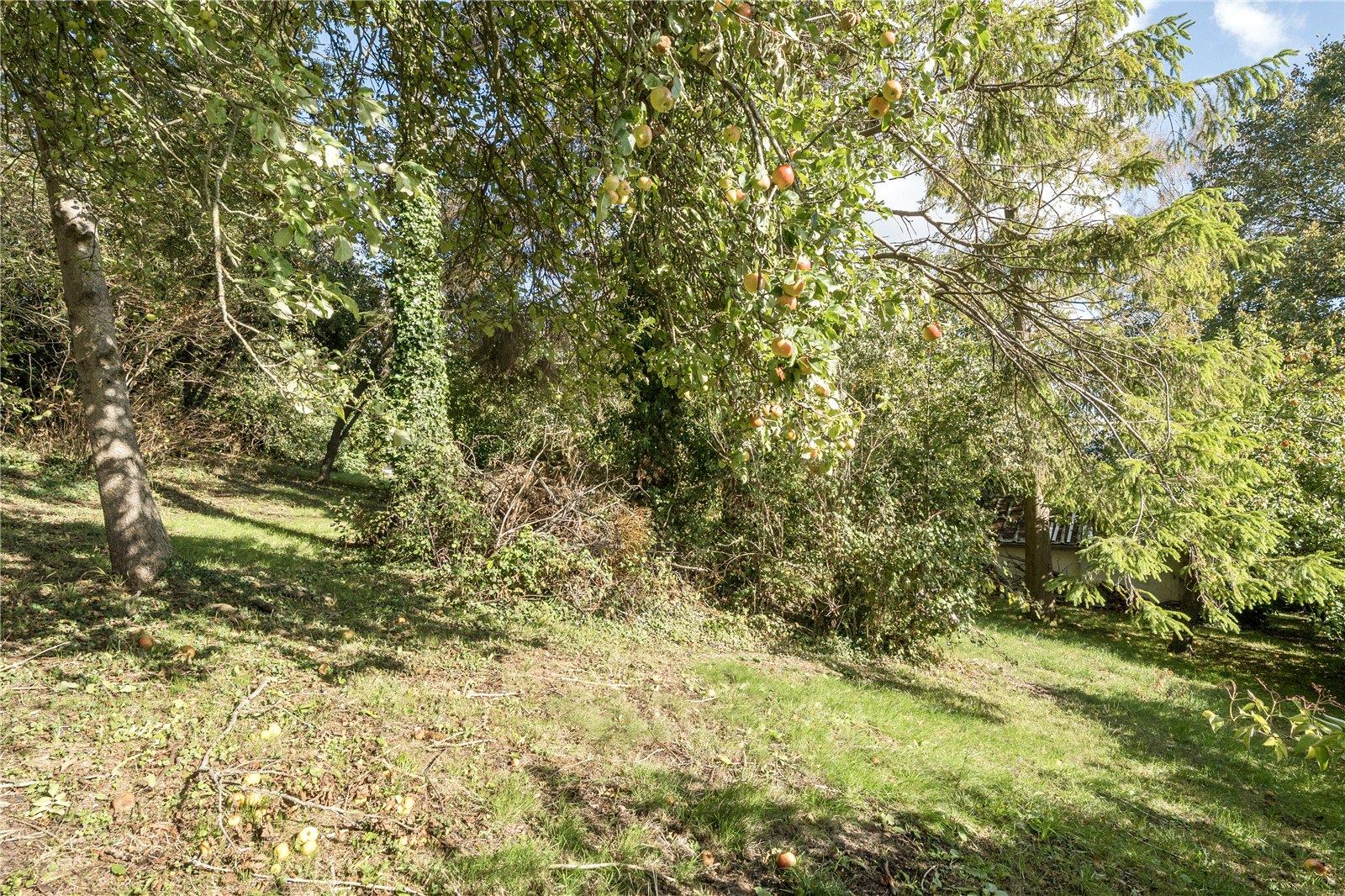 Property Image e3c16ff8-a344-478f-a0ce-0bcc7843ce2f