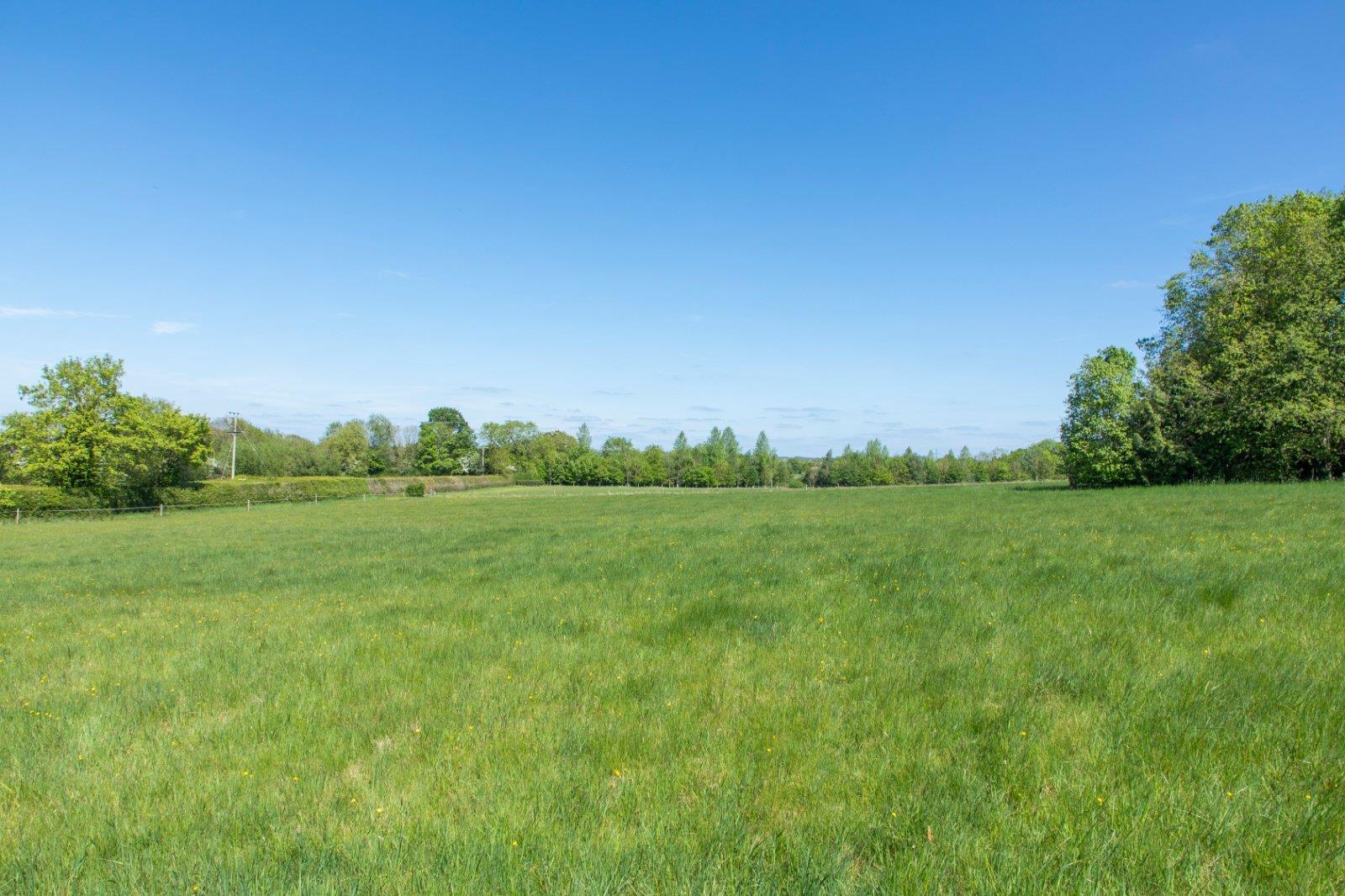 Property Image e3d1aec6-4bf4-4cc6-9ee2-e668d70493c4