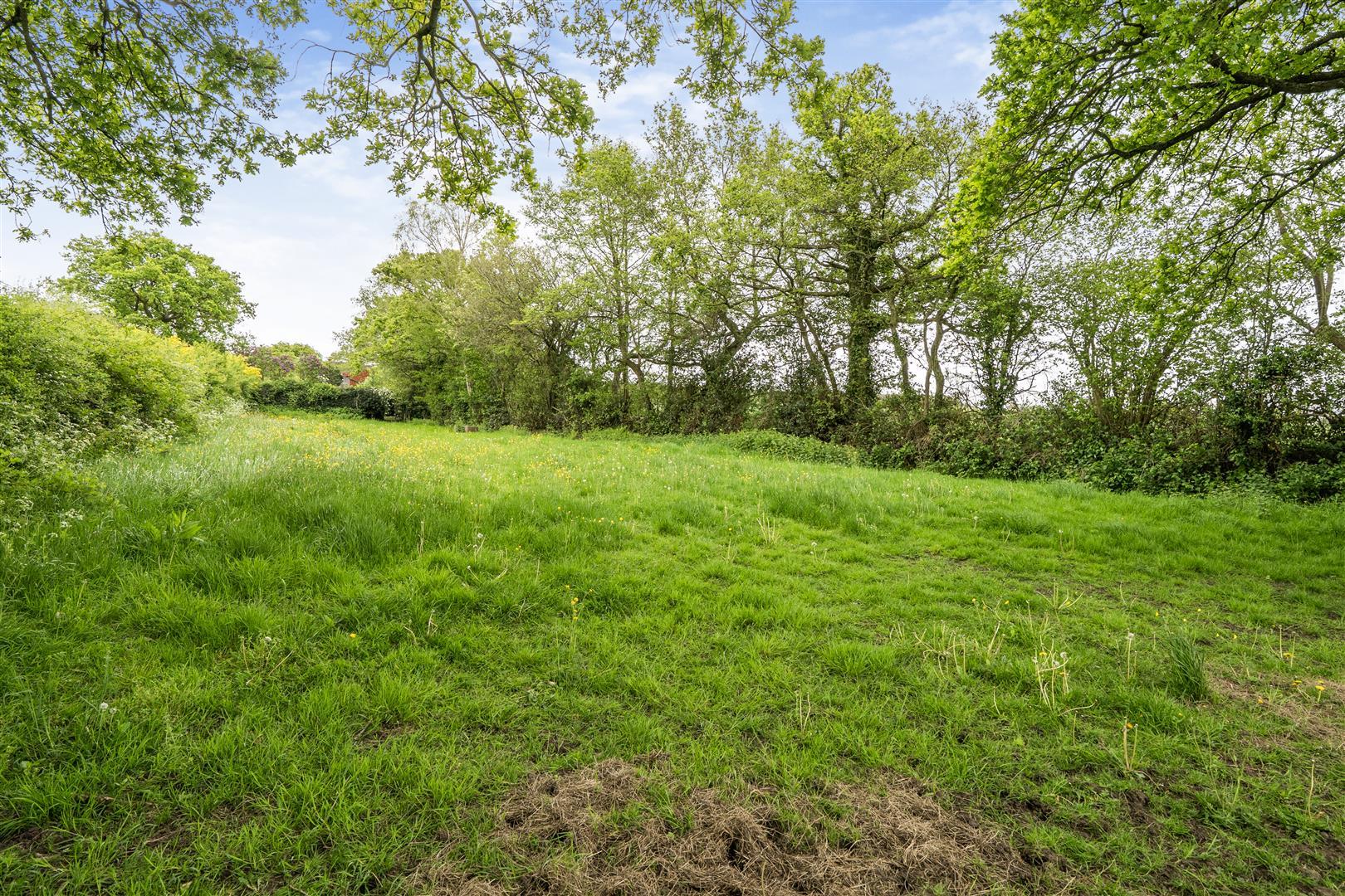 Property Image e3ff9943-45d4-4dbe-8a24-5ab976c8c80e