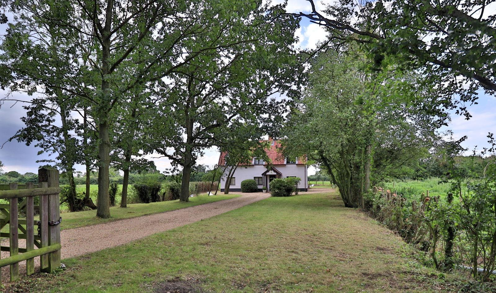Image 13