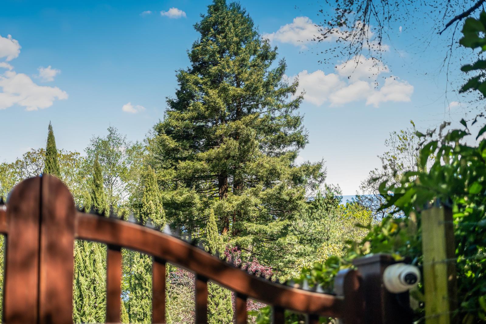 Property Image e4755f6e-0acc-46e7-aeb1-a607ae718c8b