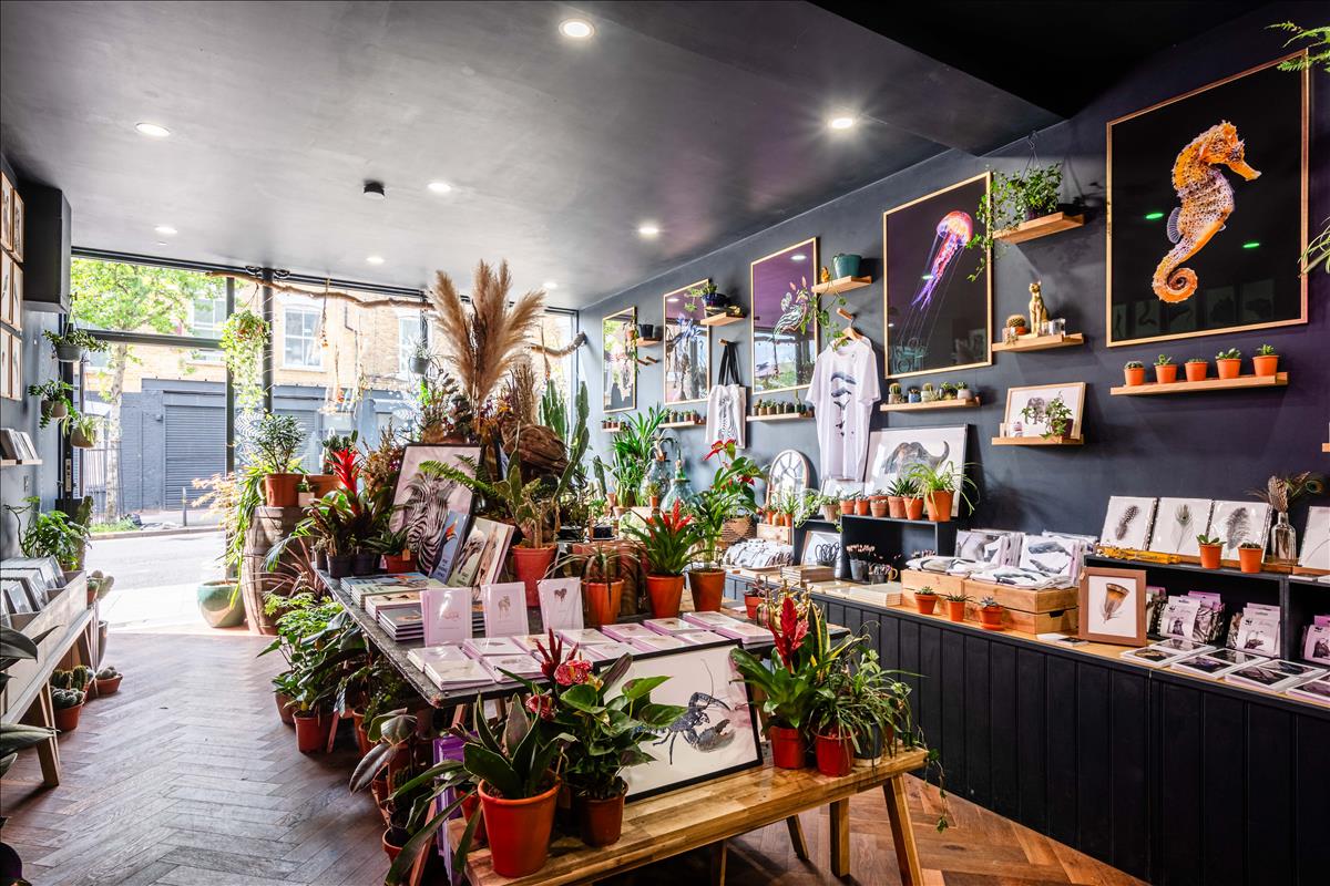 A rare opportunity to acquire a mixed-use freehold investment in the heart of Lower Clapton, positioned on Chatsworth Road, an increasingly sought-after high street known for its independent businesses.
