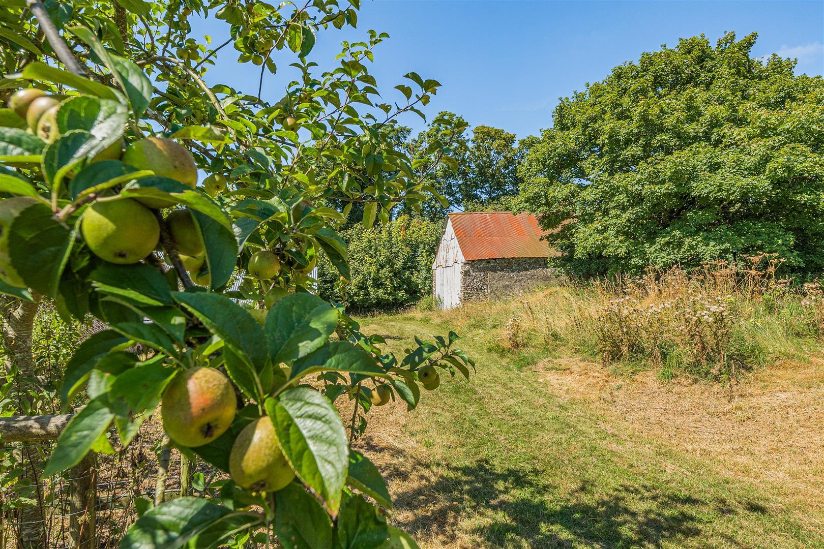 Property Image e4c661ba-d51c-45a6-b399-d74e0185ffaf