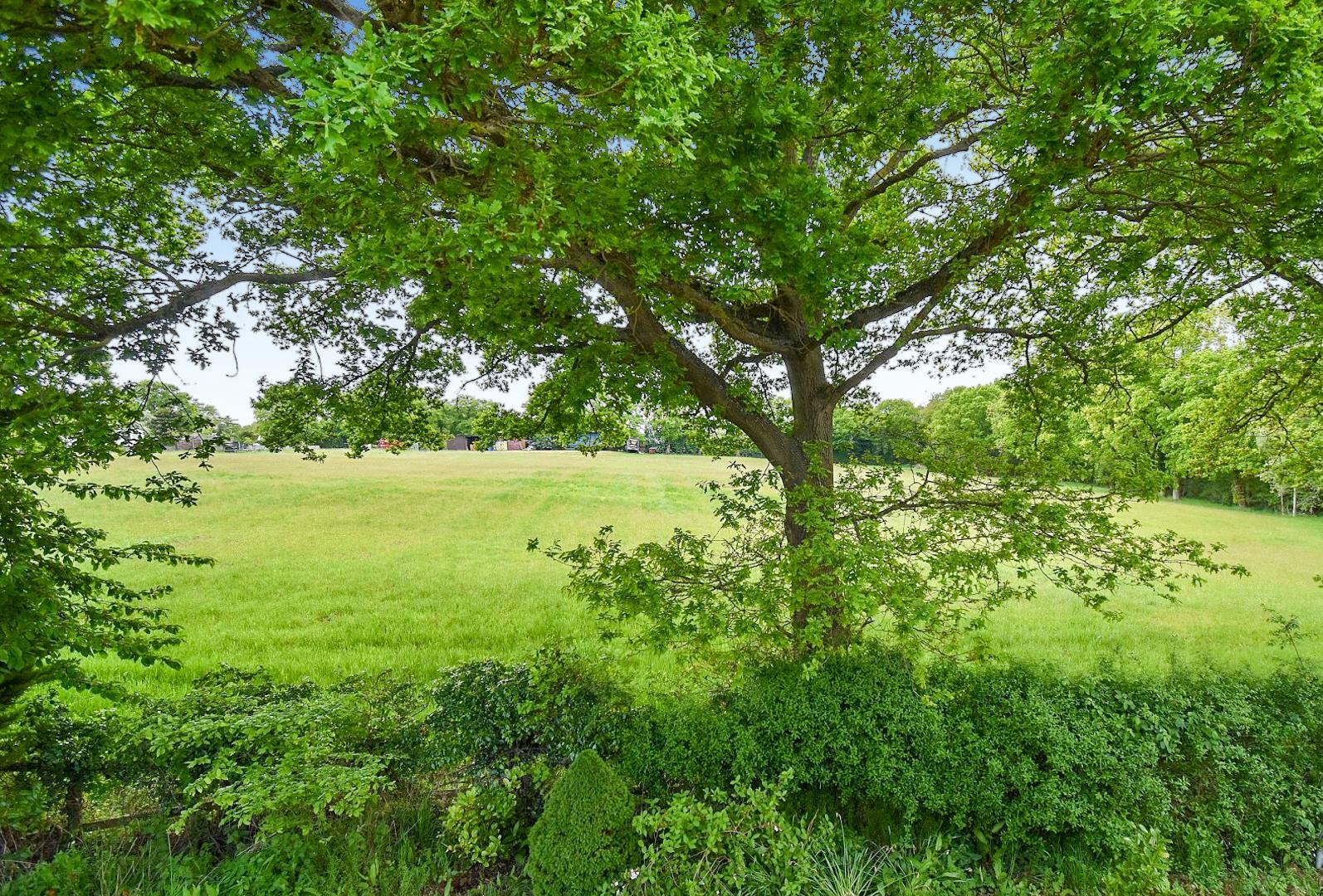 Property Image e4cf22fa-f899-447b-aabc-ed2be33220df