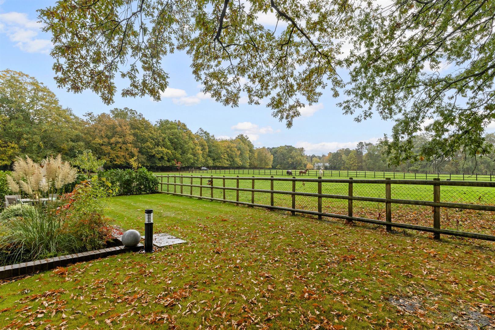 Property Image e553612a-563e-4b9d-a057-4fe835ee2d3f