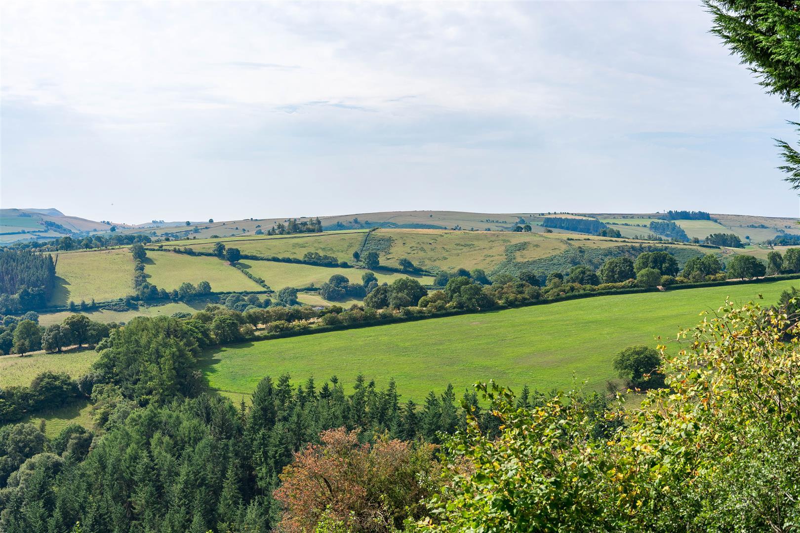Property Image e573f122-89bc-427d-bdc7-597dd95722d4