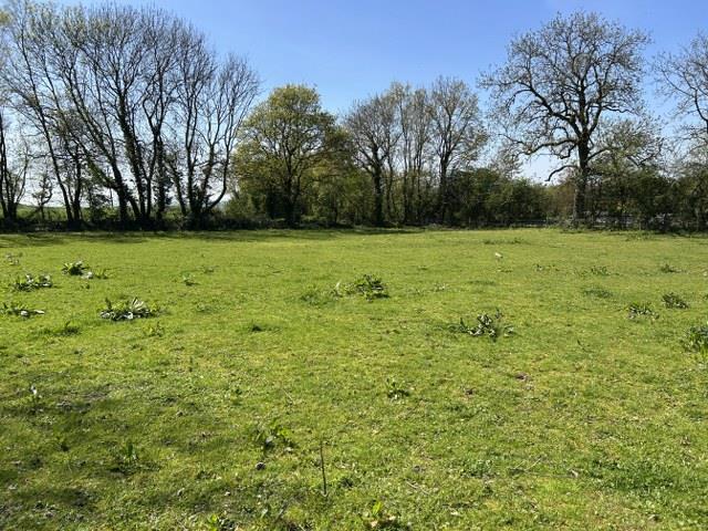 Property Image e5bd6323-fcd7-4020-bc9b-f8e4085156ba