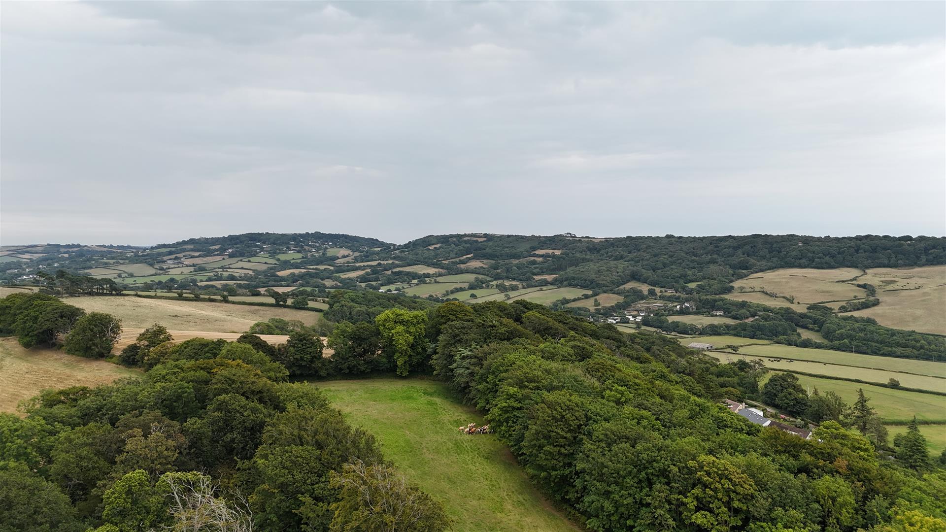 Property Image e6264dfa-e111-4716-ab16-aac2f9d6b029
