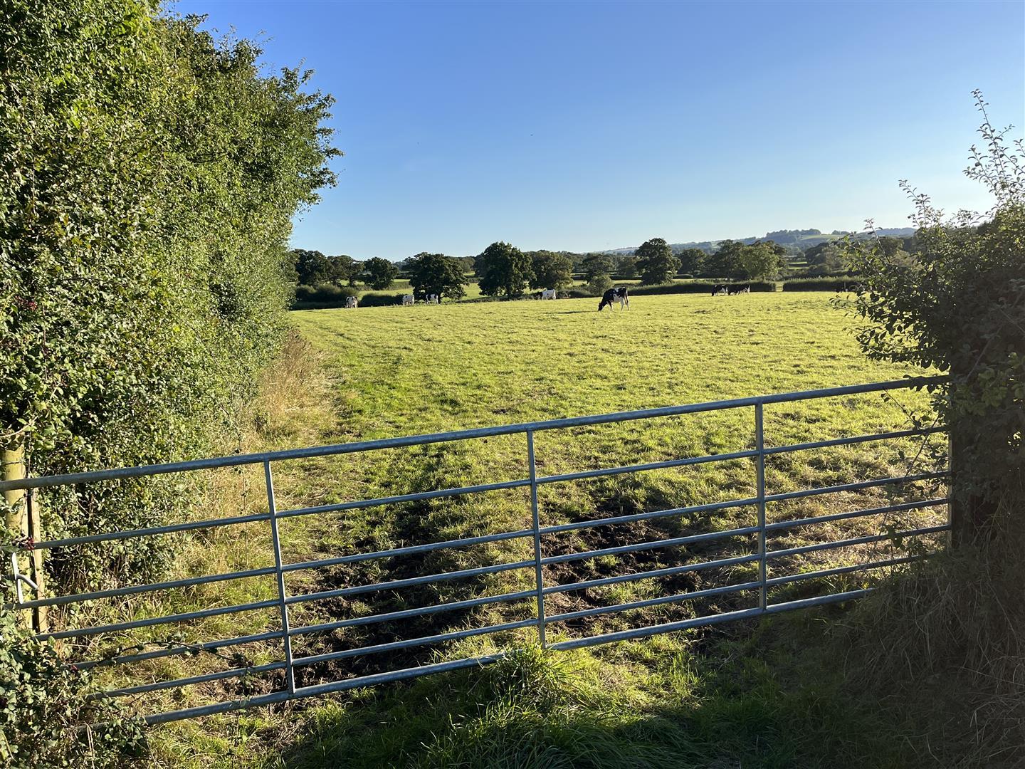 Property Image e651a802-e137-4cf9-a9f9-d63234e8a52d