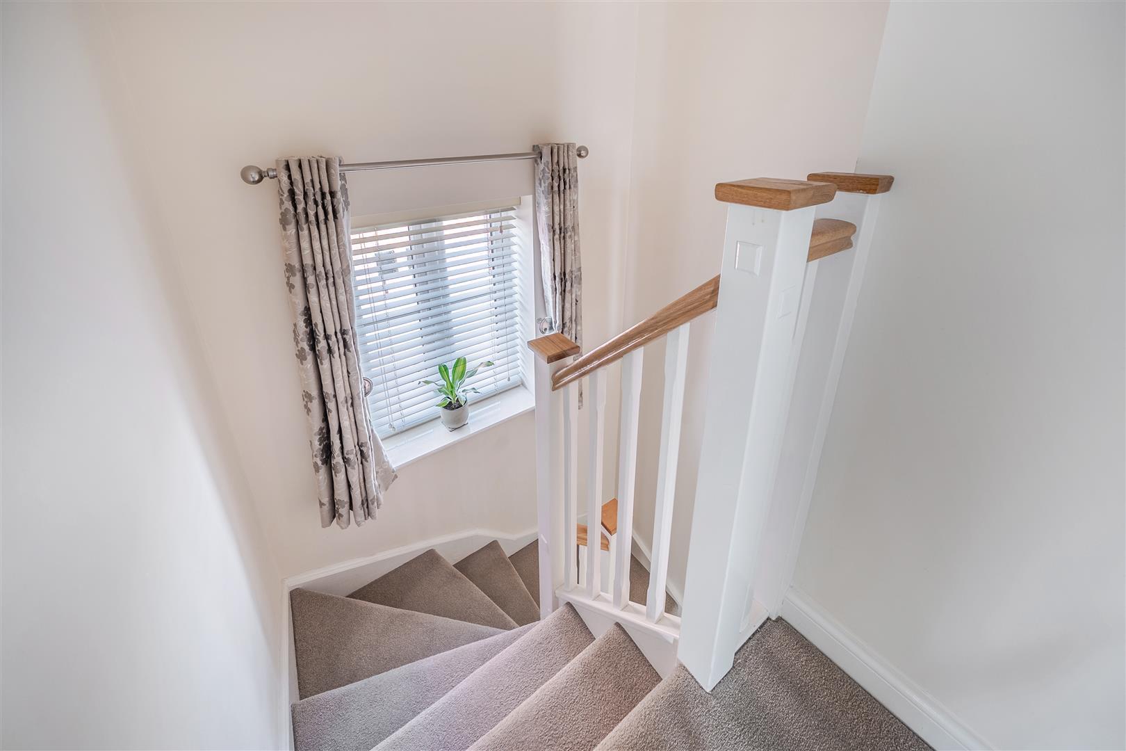 Property Image e65aec3c-fcd3-43a3-a399-d0d55bc5eb1d