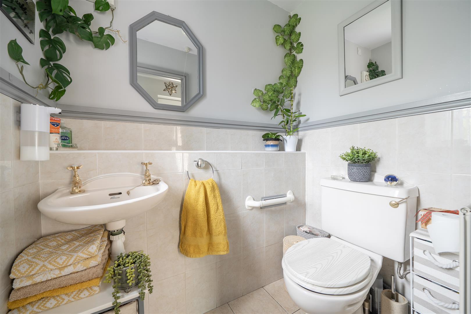 Property Image e6a399ce-4a79-4117-8e9a-d71b5737d66a
