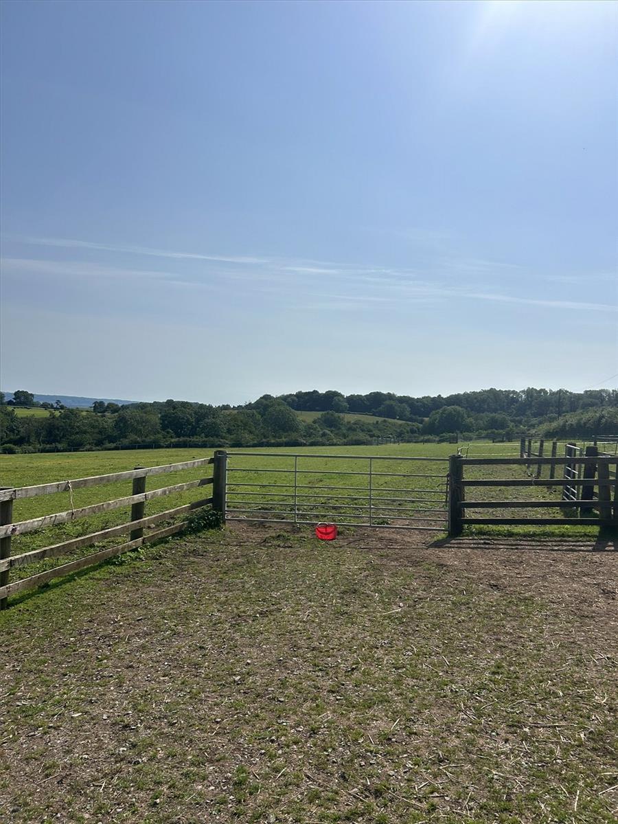 Property Image e6c975e8-9bc6-4e9d-a969-6fc7c5898470