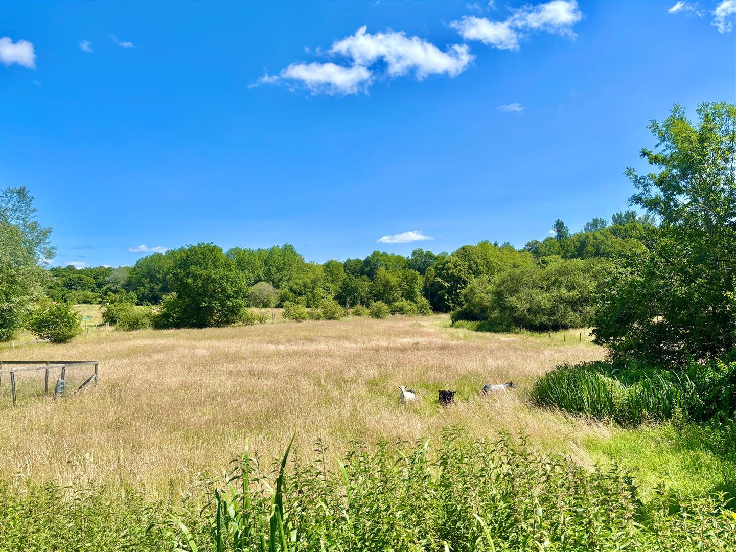 Property Image e6d79356-44ec-4f2c-8f47-68a7dfcc0311