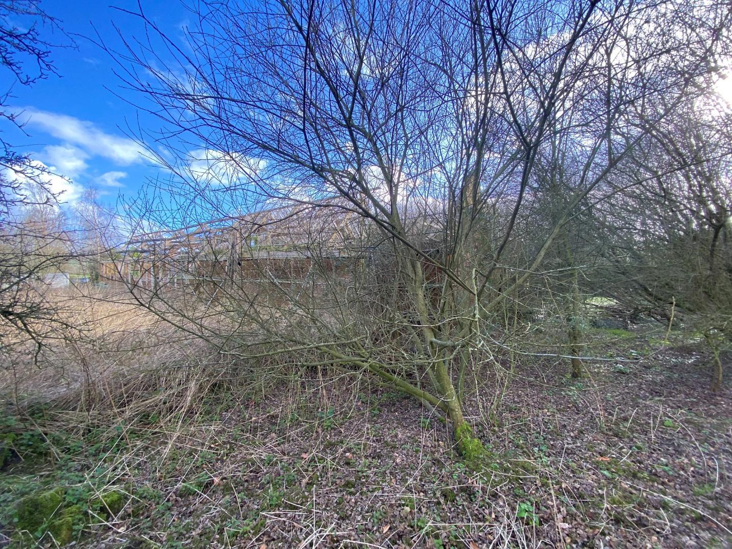 Property Image e6dd7776-5fd2-4e87-bfe6-2817ea8c1f38