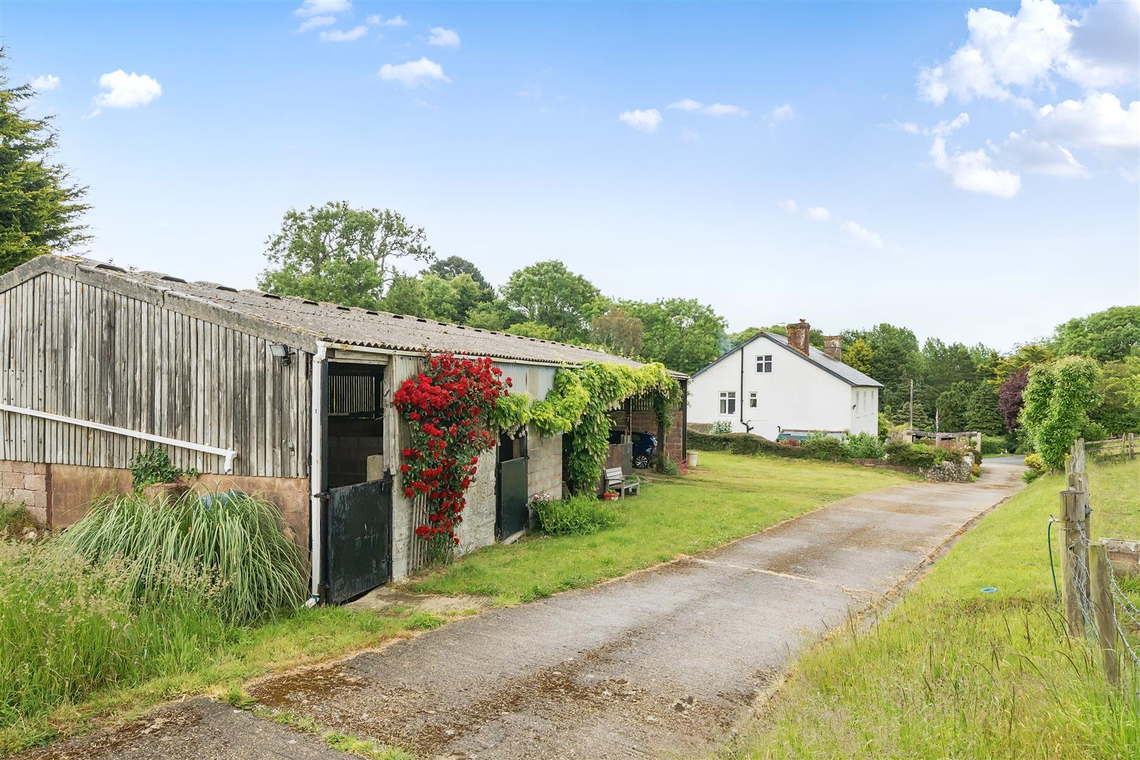 Property Image e6fa9d1a-9796-44b2-a9b0-938bcd8f391c