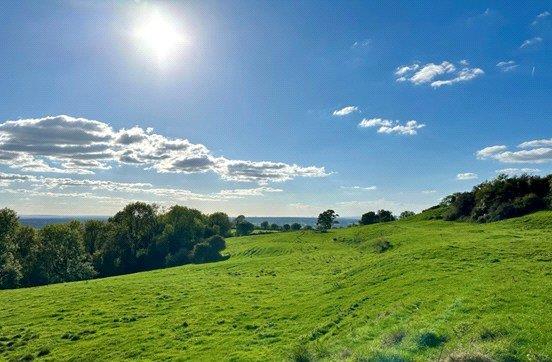 Property Image e7381cd9-8e37-431c-aad8-5c89839d96ce