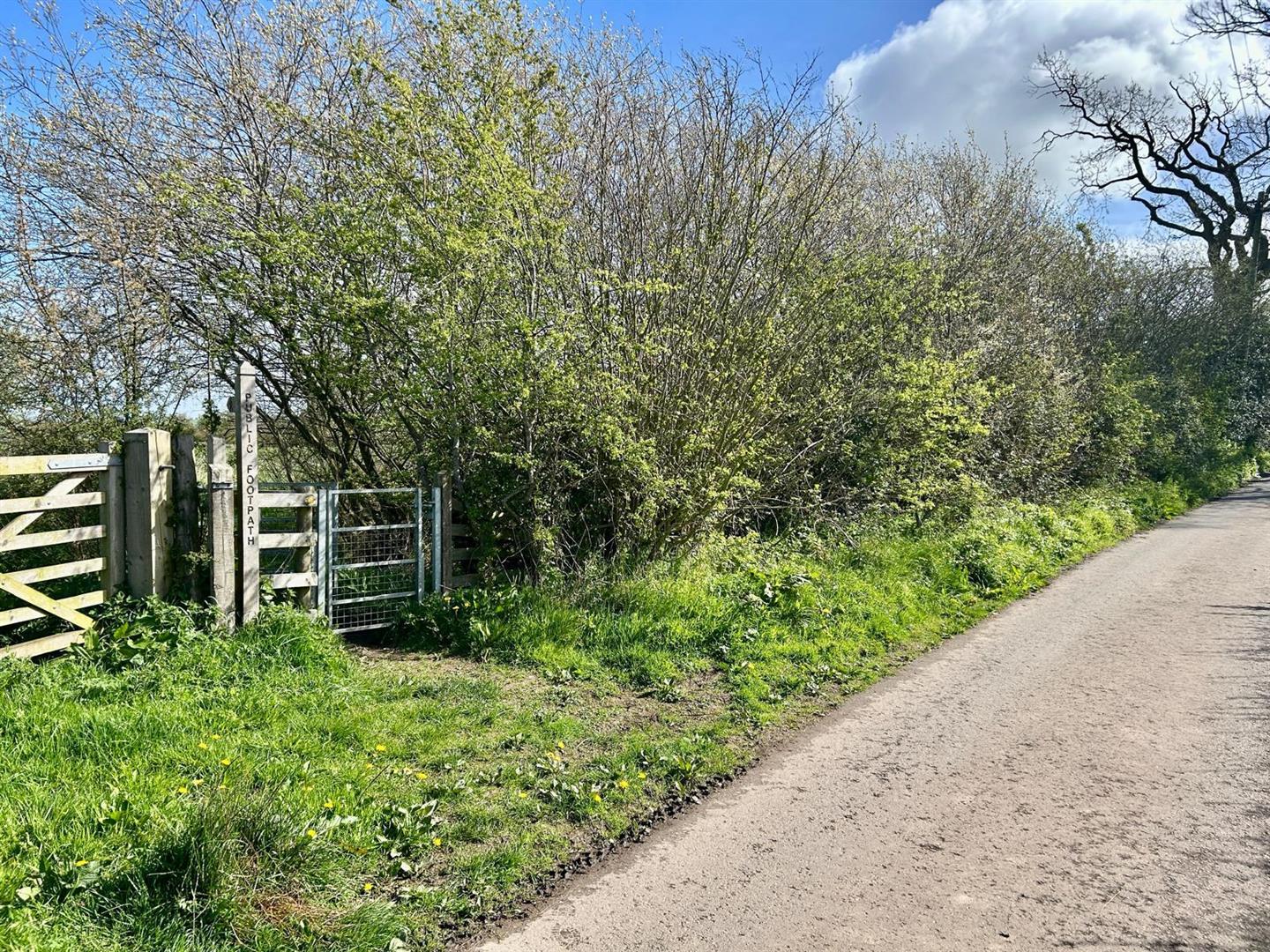 Property Image e78a3941-ac90-4e9d-b152-a67ca3d51484