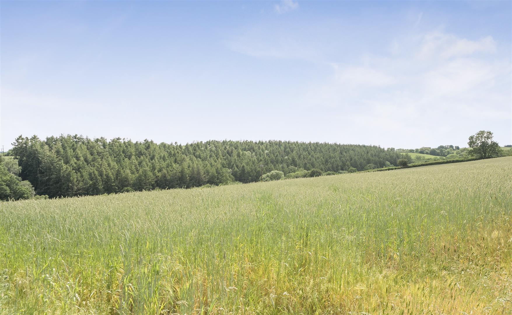 Property Image e7b1f535-d012-495f-ada7-59139922e13a