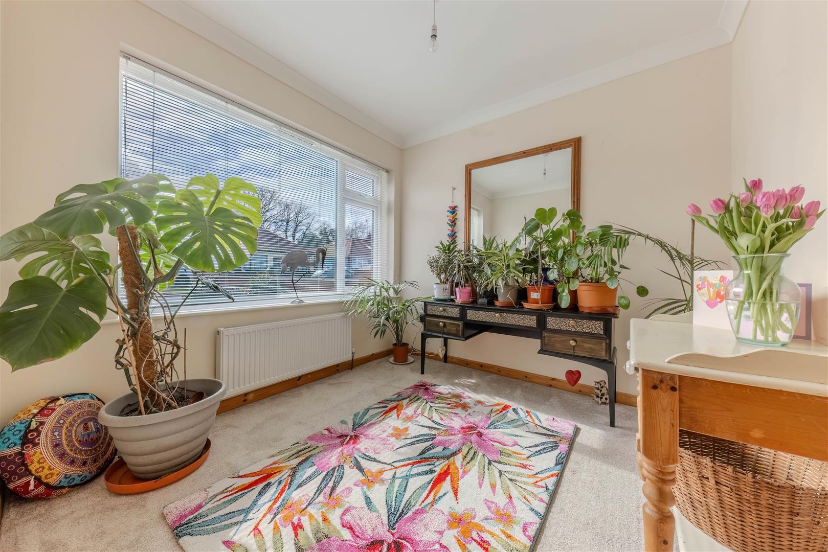 Property Image e7bedfd8-2513-42d5-b8f2-7dd857ac5aba