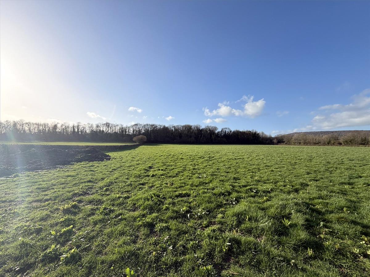 Property Image e7ecaeb8-31c6-4ae6-893f-c0a011a502f0